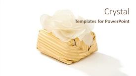  Presentation with white chocolate - Audience pleasing slides consisting of fine-quality-chocolate-isolated backdrop and a cream colored foreground