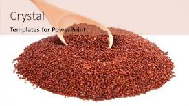  Presentation with finger millet - Presentation design featuring finger-millet-spread background and a  colored foreground