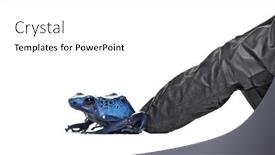  Presentation with finger - PPT theme featuring finger-of-a-person background and a white colored foreground