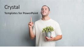  Presentation with young grey maine coon cat - Audience pleasing theme consisting of finger with happy face number backdrop and a light gray colored foreground