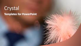  Presentation with forensics - Slide set enhanced with fingerprint-find-at-the-window background and a tawny brown colored foreground