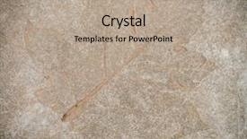  Presentation with finish strong - Beautiful PPT theme featuring finish strong - leaf impression in stone backdrop and a coral colored foreground