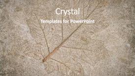  Presentation with finish strong - Audience pleasing slide deck consisting of finish strong - leaf impression in stone backdrop and a coral colored foreground