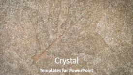  Presentation with finish strong - PPT layouts consisting of finish strong - leaf impression in stone background and a coral colored foreground