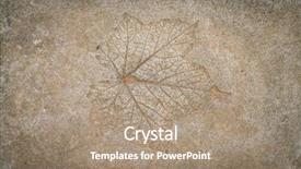  Presentation with finish strong - Theme enhanced with finish strong - leaf impression in stone background and a coral colored foreground