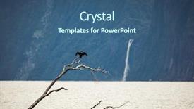  Presentation with new zealand silver fern black - Amazing presentation design having fiord - milford sound new zealand fiordland backdrop and a ocean colored foreground