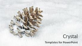  Presentation with golden apple - Amazing slides having fir apple in the snow backdrop and a sky blue colored foreground