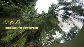  Presentation with forest - Slide deck having fir-branches-in-the-forest background and a tawny brown colored foreground