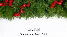  Presentation with fir tree - Theme enhanced with fir-christmas-tree-branches background and a pink colored foreground