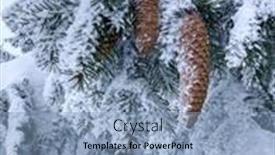  Presentation with winter landscape winter tree - Theme having fir-cones-beautiful-forest-covered background and a light blue colored foreground