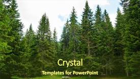  Presentation with joshua tree national park - Theme enhanced with fir forest in the national background and a tawny brown colored foreground