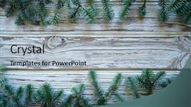  Presentation with botanical - Colorful PPT theme enhanced with fir real branch christmas backdrop and a light gray colored foreground