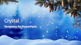  Presentation with winter landscape winter tree - Colorful theme enhanced with fir tree branch and cones backdrop and a teal colored foreground