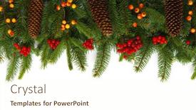  Presentation with fir tree - 