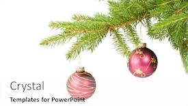  Presentation with fir tree - Audience pleasing theme consisting of fir-tree-branch-with-decoration backdrop and a sky blue colored foreground