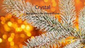  Presentation with snow tree - Colorful PPT layouts enhanced with fir tree branch with snow on golden background backdrop and a gold colored foreground