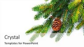  Presentation with christmas border design - Amazing slide set having fir tree decorated with holly backdrop and a white colored foreground