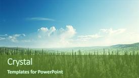  Presentation with fir tree - Cool new PPT theme with fir tree forest in sunny backdrop and a tawny brown colored foreground