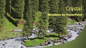  Presentation with fir tree - PPT layouts having fir-tree-forest-in-tian background and a tawny brown colored foreground