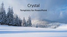  Presentation with snow tree - Amazing PPT layouts having fir tree in the snow backdrop and a light blue colored foreground