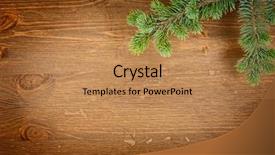  Presentation with fir tree - Presentation consisting of fir tree on the wooden background and a coral colored foreground