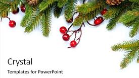  Presentation with christmas border design - Theme consisting of fir tree pine tree evergreen background and a white colored foreground