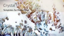  Presentation with snow tree - Amazing slide set having fir-tree-with-snow backdrop and a soft green colored foreground