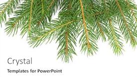  Presentation with fir tree - Slide deck enhanced with television montage - video cables in the rear background and a gray colored foreground