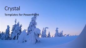  Presentation with winter wonderland - Audience pleasing presentation consisting of fir trees and large snowdrift backdrop and a  colored foreground