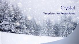 Presentation with snow covered trees and falling - Audience pleasing PPT layouts consisting of winter wonderland evergreens snowy - snow covered fir trees backdrop and a sky blue colored foreground