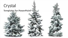  Presentation with white snow - Cool new PPT theme with fir-trees with snow isolated backdrop and a white colored foreground