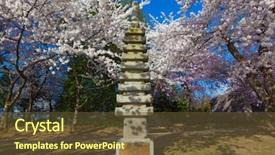  Presentation with japanese cherry blossom - Presentation theme enhanced with fire earth wind water - cherry blossom tree background and a tawny brown colored foreground