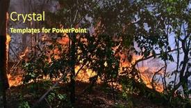  Presentation with forest fire - Slides enhanced with fire-in-the-forest-near background and a tawny brown colored foreground