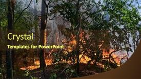  Presentation with forest fire - Beautiful slides featuring fire-in-the-forest-near backdrop and a tawny brown colored foreground