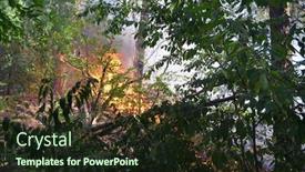  Presentation with forest fire - Colorful PPT layouts enhanced with fire-in-the-forest-near backdrop and a wine colored foreground