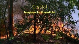 Presentation with forest fire - Slides having fire-in-the-forest-near background and a tawny brown colored foreground