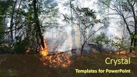  Presentation with forest fire - Theme having fire-in-the-forest-near background and a tawny brown colored foreground