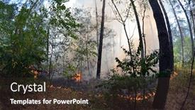  Presentation with forest fire - Audience pleasing PPT layouts consisting of fire-in-the-forest-near backdrop and a tawny brown colored foreground