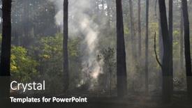  Presentation with forest fire - Slides featuring fire-in-the-forest-near background and a dark gray colored foreground