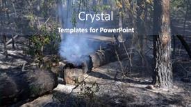  Presentation with forest fire - PPT theme enhanced with fire-in-the-forest-near background and a ocean colored foreground