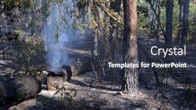  Presentation with forest fire - Slides with fire-in-the-forest-near background and a tawny brown colored foreground