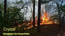  Presentation with forest fire - Slide deck featuring fire-in-the-forest-september background and a wine colored foreground