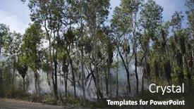  Presentation with forest fire - Slides featuring fire in the tropical forest background and a dark gray colored foreground