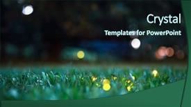  Presentation with firefly - Presentation theme featuring firefly - fireflies on grass at night background and a wine colored foreground