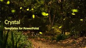  Presentation with taiwan - Beautiful theme featuring firefly flying in the forest backdrop and a wine colored foreground