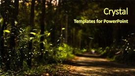  Presentation with taiwan - PPT layouts with firefly flying in the forest background and a wine colored foreground