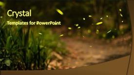  Presentation with firefly - Audience pleasing PPT theme consisting of firefly flying in the forest backdrop and a wine colored foreground