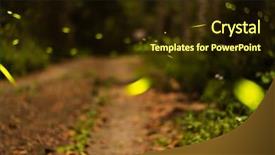  Presentation with taiwan - Slides featuring firefly flying in the forest background and a wine colored foreground