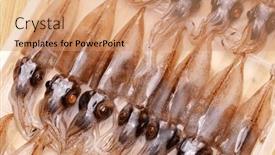  Presentation with firefly - PPT theme with firefly-squid-hotaru-ika-japanese background and a coral colored foreground