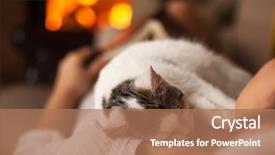  Presentation with fireside - Beautiful theme featuring purrfect evening - woman relaxing with her kitten laying on a couch by the fire of a fireplace shallow depth backdrop and a coral colored foreground